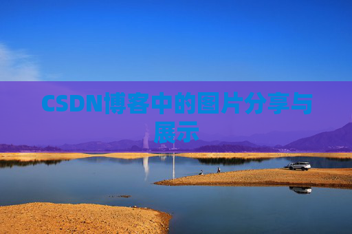 CSDN博客中的图片分享与展示